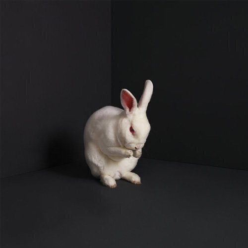 LP deska Brume - Rabbits (LP)