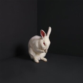 LP deska Brume - Rabbits (LP) - 1