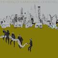 Joni Mitchell - The Hissing Of Summer Lawns (180 g) (Reissue) (Remastered) (LP)