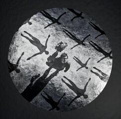 LP platňa Muse - Absolution: XX Anniversary (Limited Edition) (Silver & Clear Coloured) (3 LP + 2 CD)