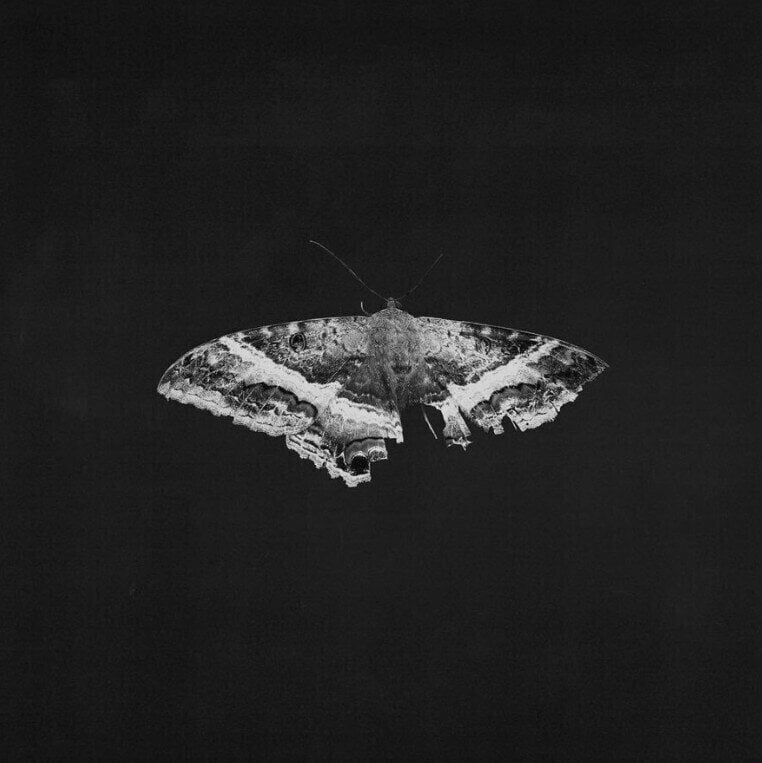 LP ploča Kendrick Lamar - To Pimp A Butterfly (Anniversary Edition) (Indie Exclusive) (Metallic Blends Coloured) (Limited Edition) (2 LP)