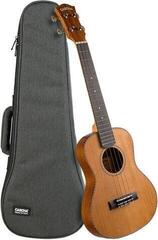 Tenor ukulele Cascha Tenor Ukulele Cedar Solid Top with Pickup