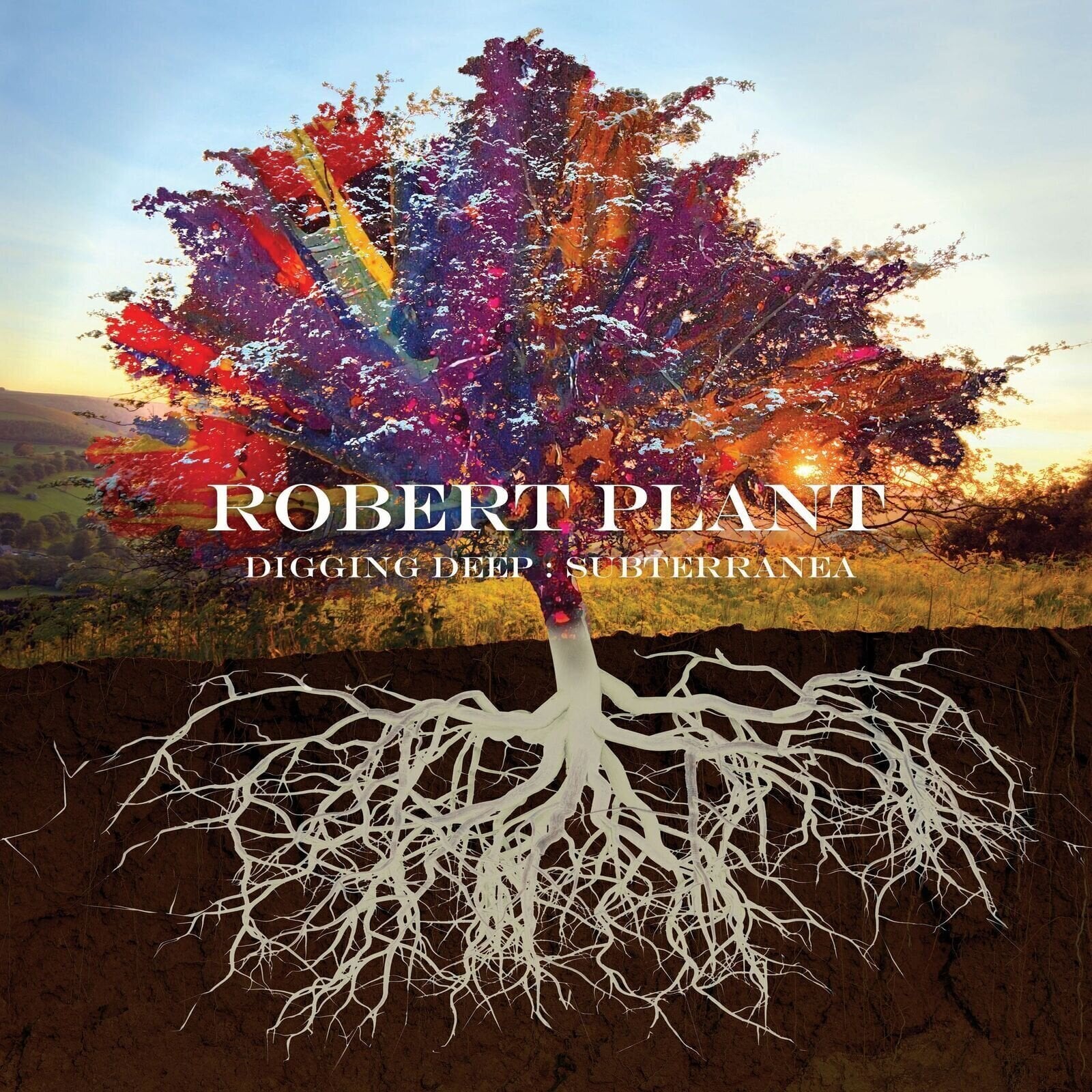 Musik-cd Robert Plant - Digging Deep: Subterranea (2 CD)