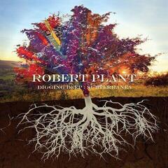 Musik-CD Robert Plant - Digging Deep: Subterranea (2 CD)