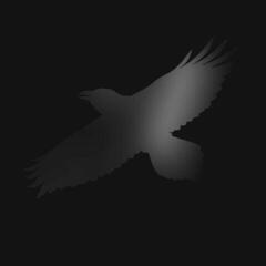Vinüülplaat Sigur Rós - Odins Raven Magic (2 LP)