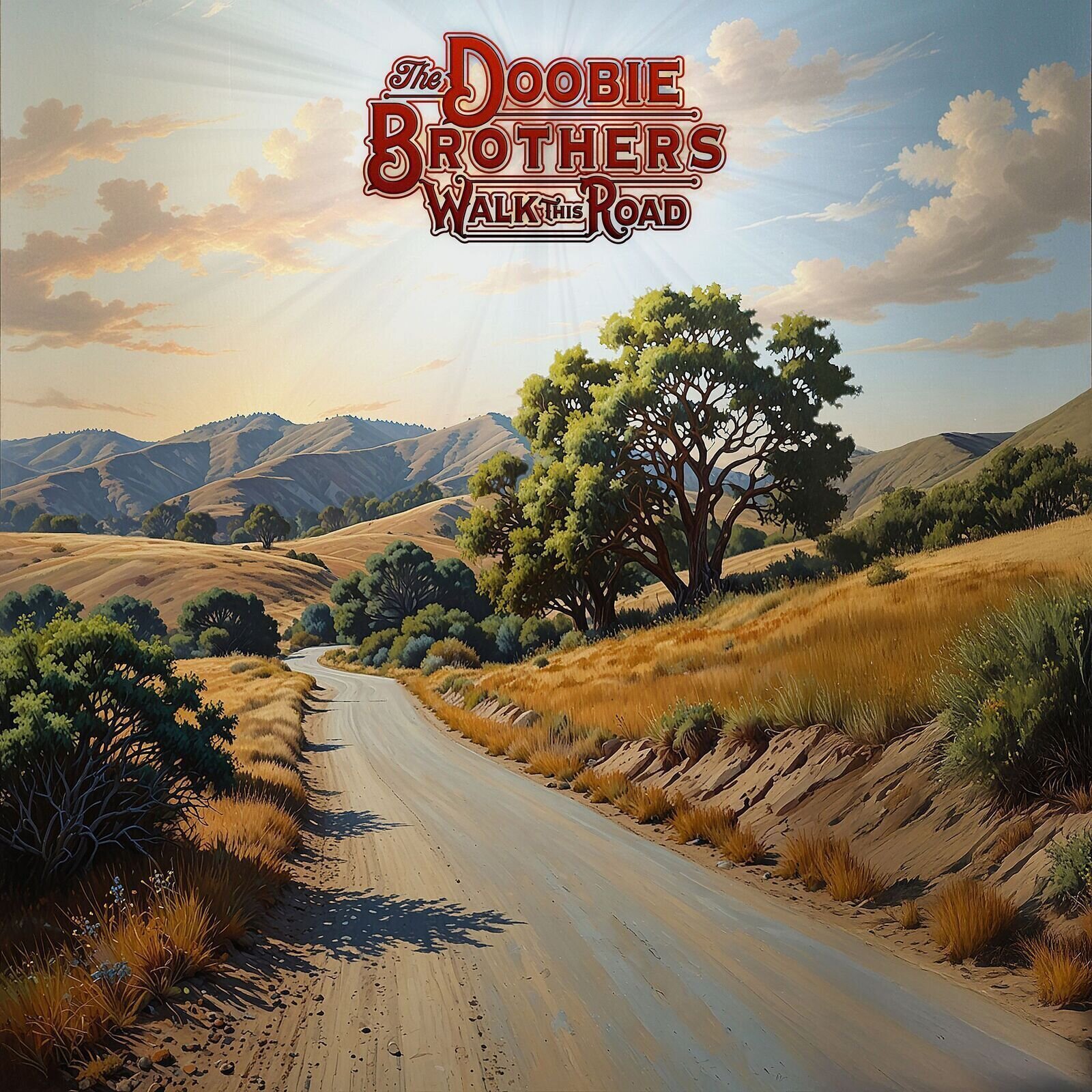Disc de vinil The Doobie Brothers - Walk This Road (140 g) (LP)