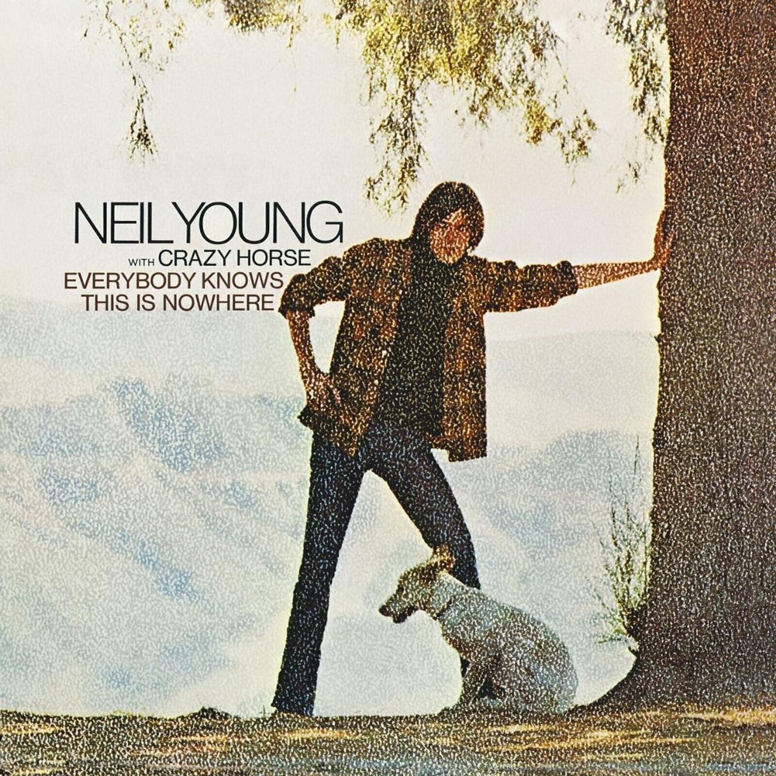 Muusika CD Neil Young - Everybody Knows This Is Nowhere (Remasterd) (CD)
