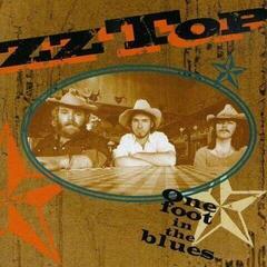 Glasbene CD ZZ Top - One Foot In The Blues (CD)