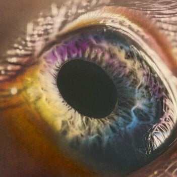 Δίσκος LP Arcade Fire - We (180 g) (LP) - 1