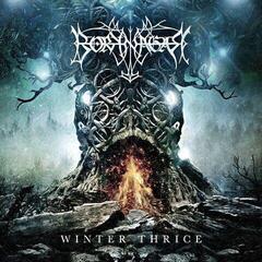 CD musique Borknagar - Winter Thrice (CD)