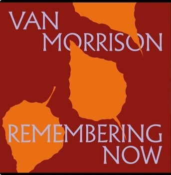 Грамофонна плоча Van Morrison - Remembering Now (2 LP) - 1