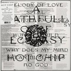 Schallplatte Hot Chip - A Bath Full of Ecstasy (Crystal Clear Coloured) (2 LP)