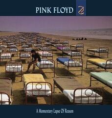 Hudební CD Pink Floyd - A Momentary Lapse of Reason (Reissue) (CD)