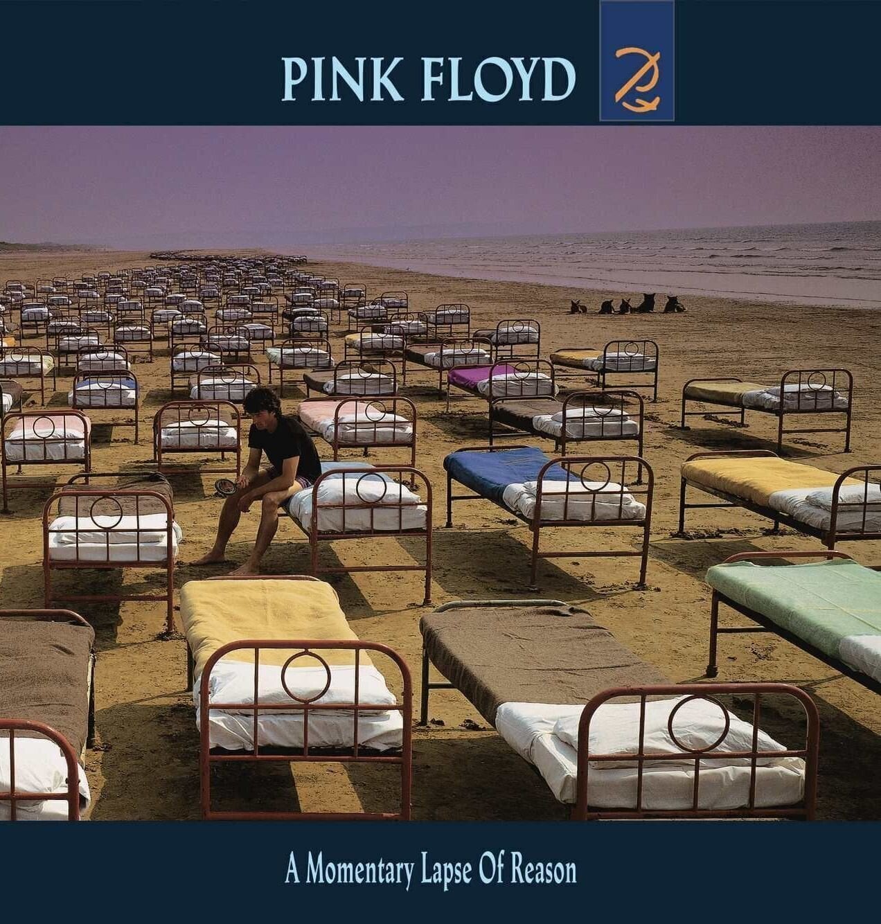 Vinylplade Pink Floyd - A Momentary Lapse of Reason (Reissue) (LP)