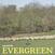 Musik-CD Calcutta - Evergreen (CD)