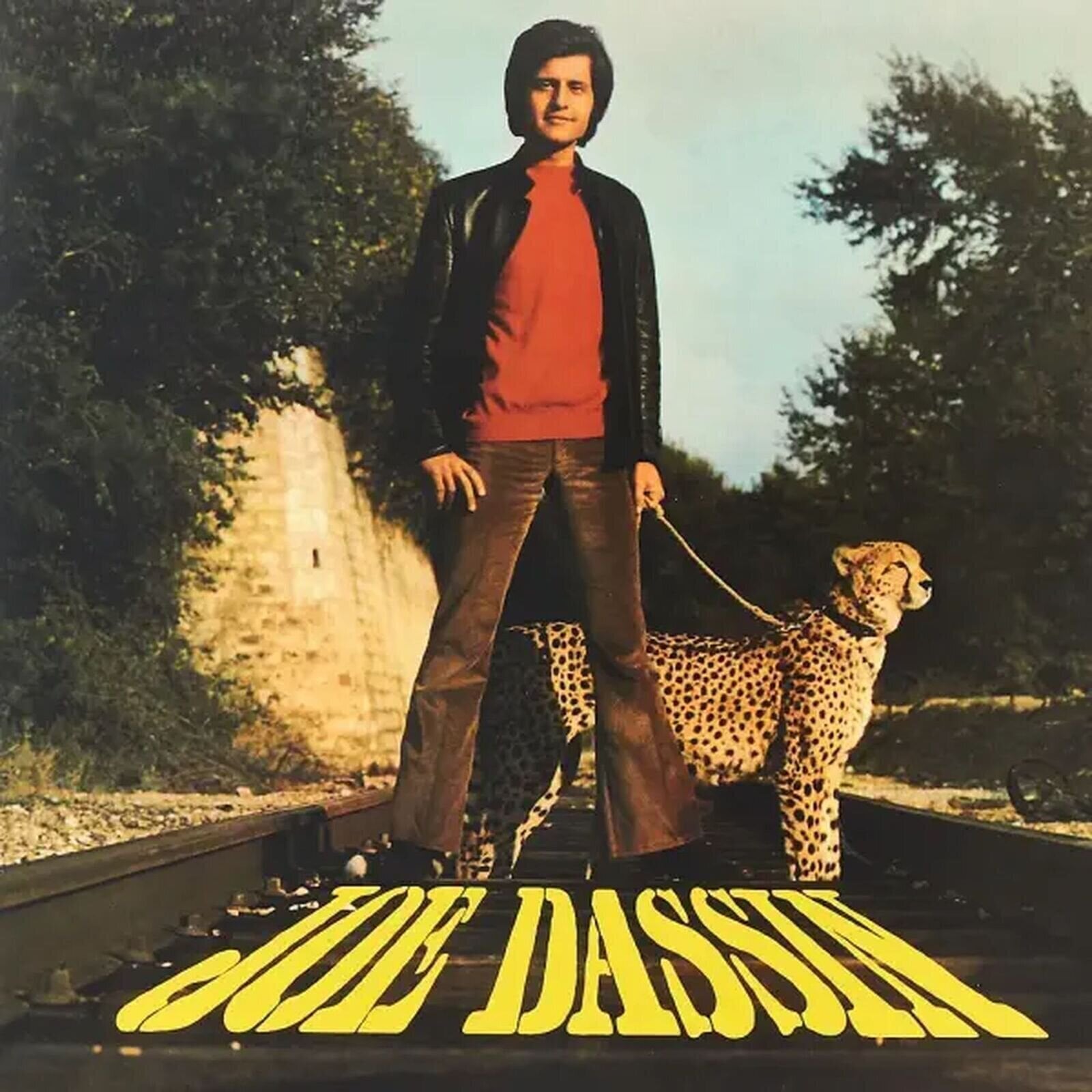 LP deska Joe Dassin - La Fleur Aux Dents (Reissue) (LP)