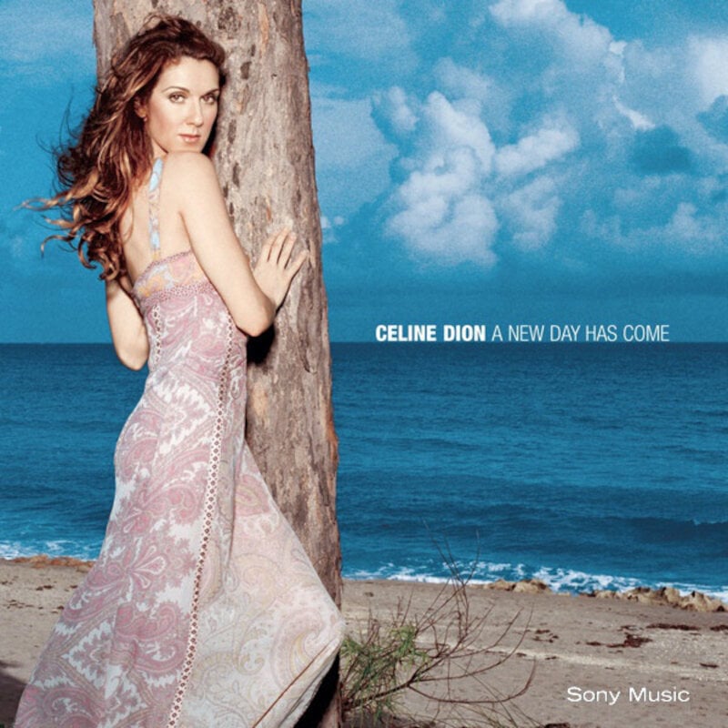 Musik-cd Celine Dion - A New Day Has Come (CD)