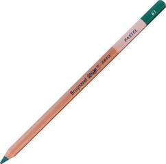 Crayon pastel Bruynzeel Design Crayon pastel 61 Dark Green 1 pc