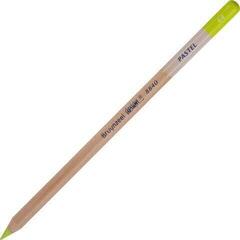 Crayon pastel Bruynzeel Design Crayon pastel 64 Lime 1 pc