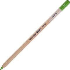 Crayon pastel Bruynzeel Design Crayon pastel 65 Apple Green 1 pc