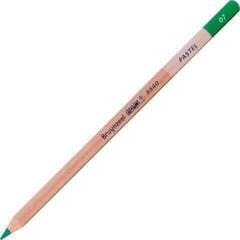 Crayon pastel Bruynzeel Design Crayon pastel 07 Fresh Green 1 pc