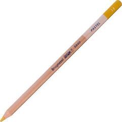 Crayon pastel Bruynzeel Design Crayon pastel 13 Light Ochre 1 pc