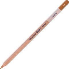 Crayon pastel Bruynzeel Design Crayon pastel 17 Natural Sienna 1 pc