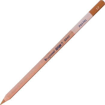 Pastellpliiats Bruynzeel Design Pastellpliiats 17 Natural Sienna 1 tk - 1