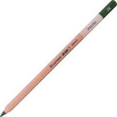 Crayon pastel Bruynzeel Design Crayon pastel 28 Dark Olive Green 1 pc