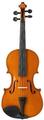 Valencia VA100 15,5" Viola