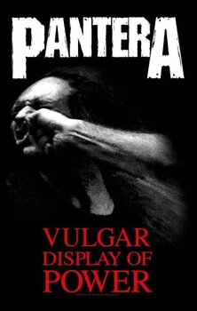 Bandeira / Cartaz Pantera Vulgar Display Of Power Bandeira - 1