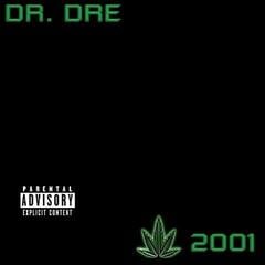 Vinyl Record Dr. Dre - 2001 (2 LP) (Just unboxed)