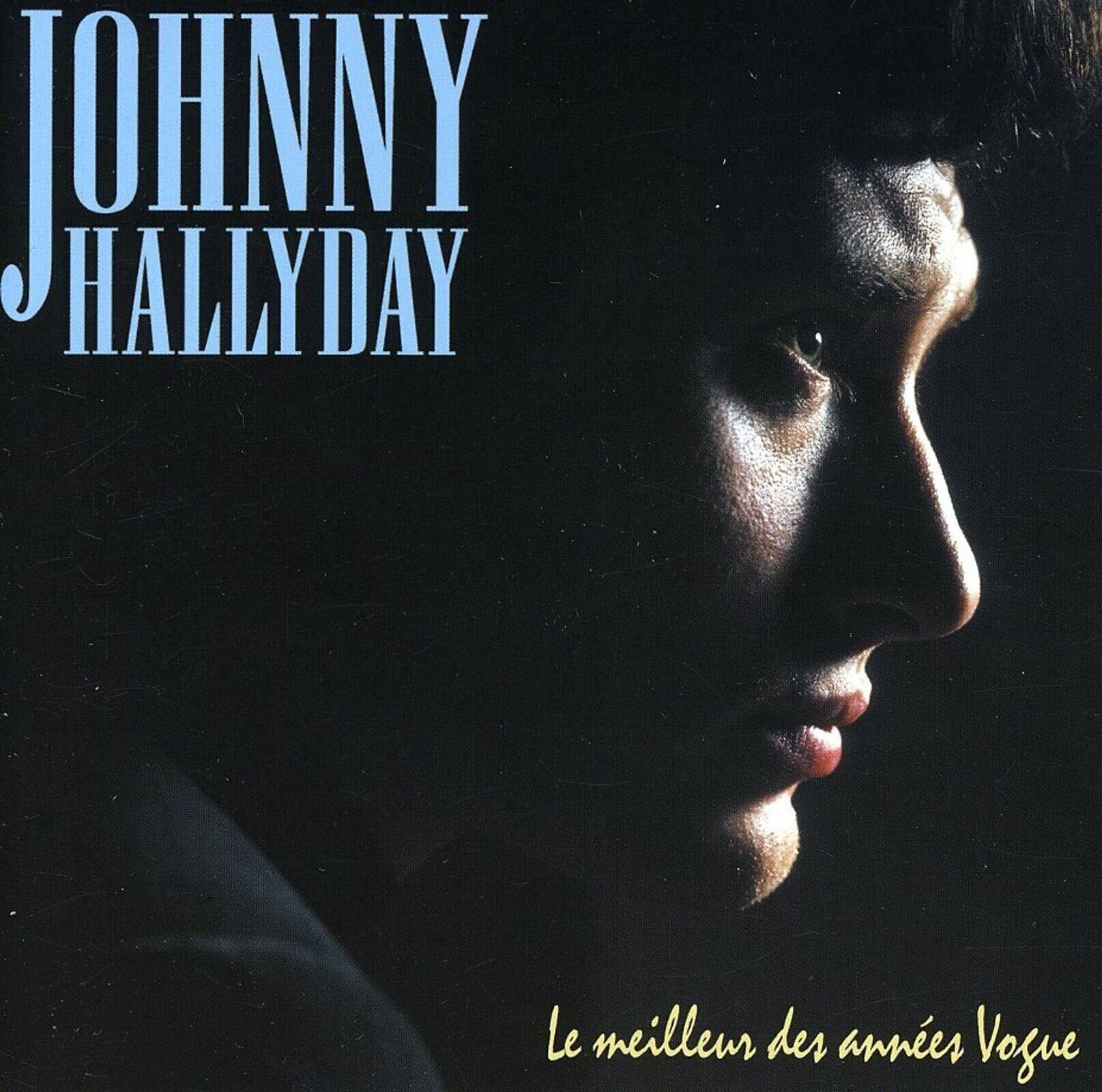 Glazbene CD Johnny Hallyday - Le Meilleur Des Annees Vogue (CD)