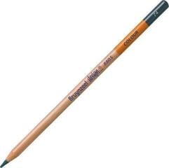 Värvipliiats Bruynzeel Design Colour Värvipliiats Dark Grey 1 tk