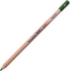 Pastellpliiats Bruynzeel Design Pastel Pastellpliiats 96 Sap Green 1 tk