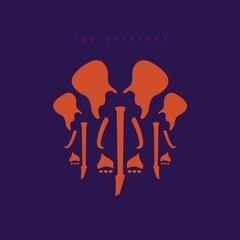 Disco de vinil Joe Satriani - The Elephants Of Mars (2 LP)