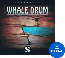 Sample/Sound Library Soundiron Whale Drum (Digital product)