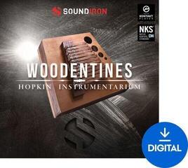 Zvuková knihovna pro sampler Soundiron Hopkin Instrumentarium: Woodentines (Digitální produkt)