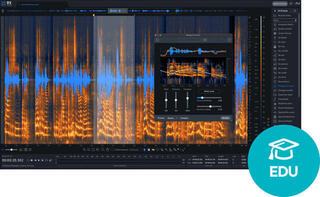 Virtuális effekt iZotope RX 11 Advanced EDU (Digitális termék)