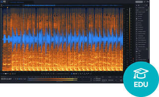 Virtuális effekt iZotope RX 11 Standard EDU (Digitális termék)