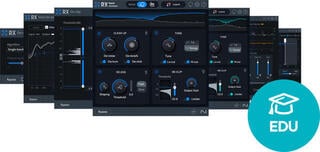 Virtuális effekt iZotope RX 11 Elements EDU (Digitális termék)