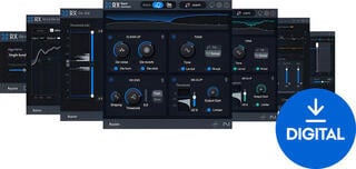 Effect Plug-In iZotope RX 11 Elements (Digital product)
