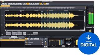 Posodobitve & Nadgradnje Acon Digital Acoustica Post Production Suite UPG from Premium (Digitalni izdelek)