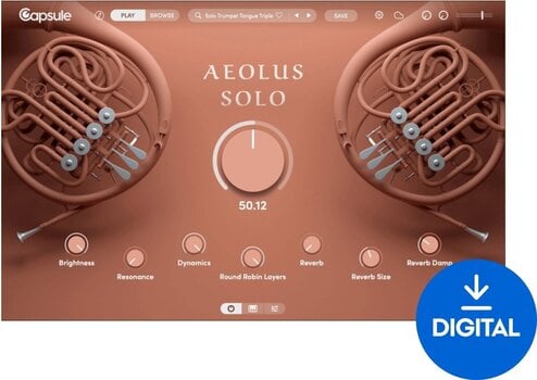 VST Instrument Capsule Audio Aeolus Solo (Digital product) - 1