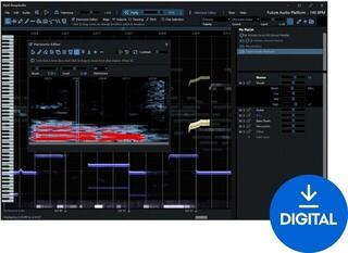 Mastering софтуер Hit'n'Mix RipX DAW PRO (Дигитален продукт)