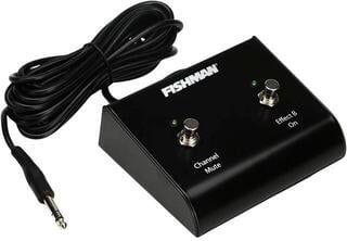 Kétcsatornás Fishman Loudbox Amplifiers Kétcsatornás