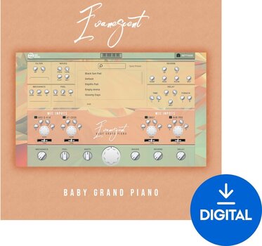 VST Instrument New Nation Evanescent - Baby Grand Piano (Produkt cyfrowy) - 1