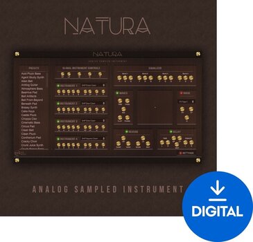 VST Instrument New Nation Natura - Analog Sampled Instrument (Produs digital) - 1
