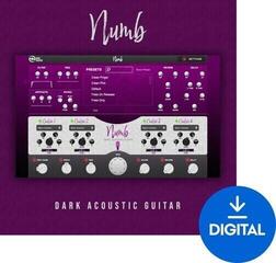 VST Instrument New Nation Numb - Dark Acoustic Guitar (Дигитален продукт)