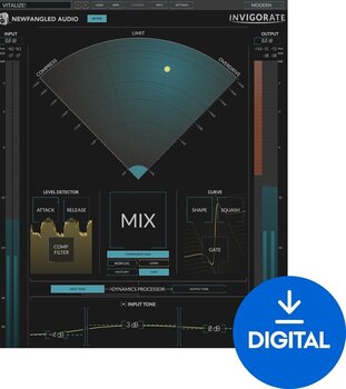 Oprogramowanie studyjne Plug-In efekt Newfangled Invigorate (Produkt cyfrowy) - 1